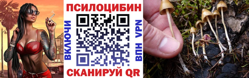 блэк спрут маркетплейс  Аргун  Псилоцибиновые грибы Psilocybe  цены  