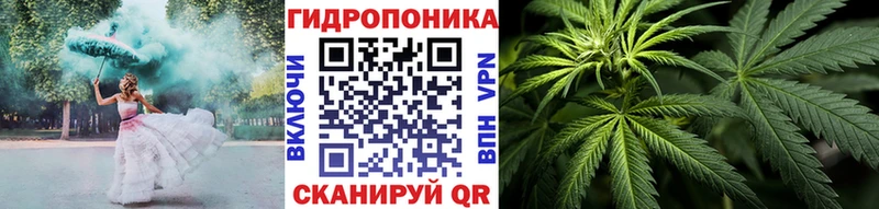 Бошки Шишки план  Аргун 